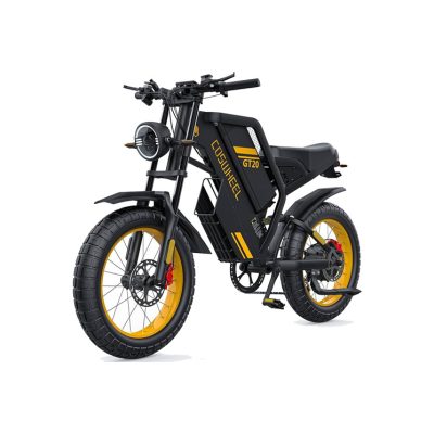 Xe đạp điện địa hình Coswheel FTN GT20 phong cách cổ điển