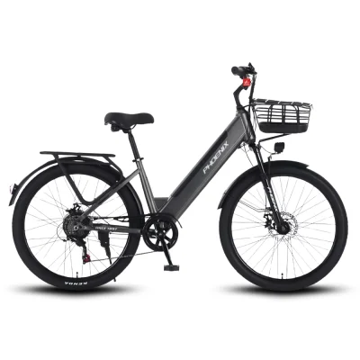 Xe đạp trợ lực điện Phoenix A9 Pro